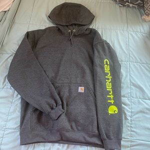 COPY - NWOT Never Worn Carhartt Hoodie